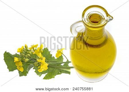 Rapeseed oil in a glass bottle isolated on a white background