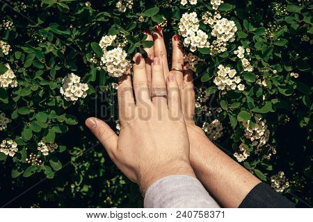 Newlyweds Holding Hands With Stylish Silver Wedding Rings At Beautiful Spirea Flowers In Sunlight. J