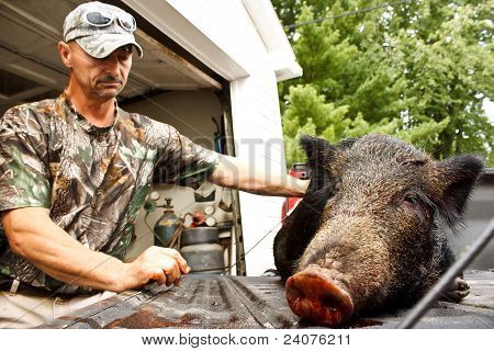 Cinghiale uomo triste