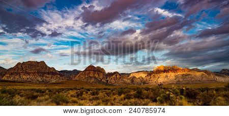 A Piece Of Sunshine, Red Rock Canyon National Park, Las Vegas, Nevada