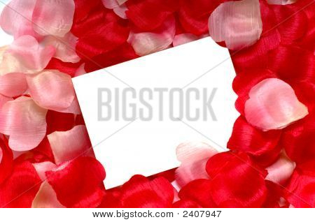 バラの花びらノートカード