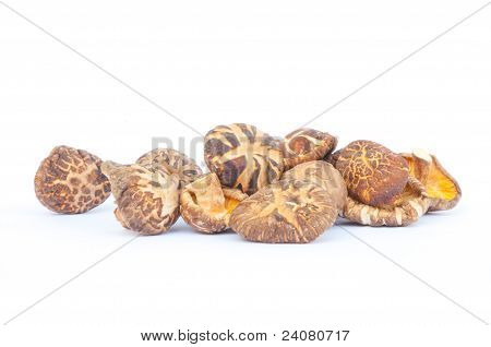 hongos secos