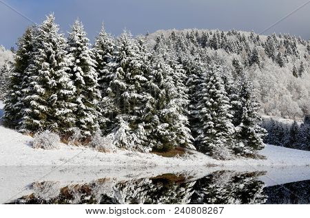 Mountain Landscape With Fir Pine Submerged By Snow In Winter And A Little Lake