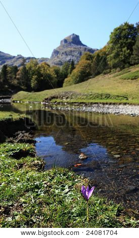 Bellezza naturale