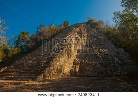 Coba, Mexico, Yucatan: Mayan Nohoch Mul Pyramid In Coba. Upstairs Are 120 Narrow And Steep Steps. Cl