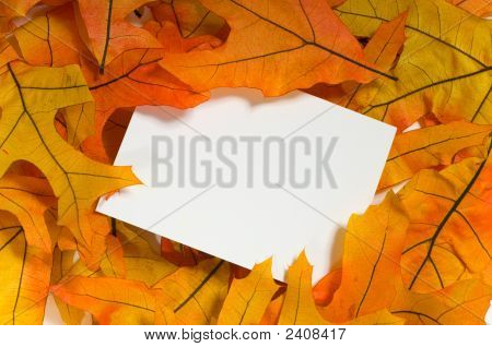 Autunno Notecard