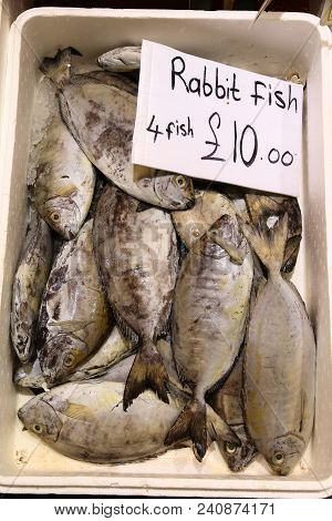 Rabbit Fish At Billingsgate Fish Market In Poplar, London, Uk.