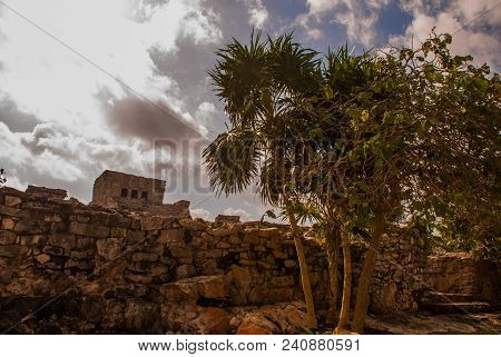 The Mayan Ruins In Tulum, Mexico. The Ruins Were Built On Tall Cliffs On The Caribbean Sea. Tulum Wa