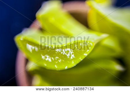 Medicinal And Floral Essence Of Ayurvedic Herb Aloe Vera With Its Leaves In A Transparent Bottle On