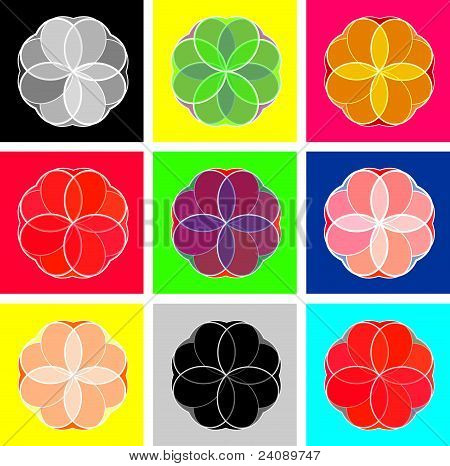 Colorfull Flowers