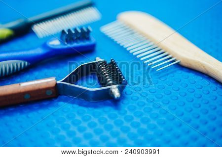 Acessories For The Grooming And Nail Clipper For Cats And Dogs. The Concept Of Advertising Grooming 