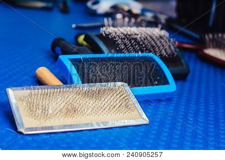 Acessories For The Grooming And Nail Clipper For Cats And Dogs. The Concept Of Advertising Grooming 