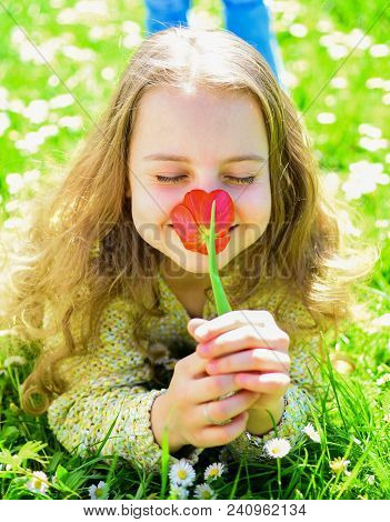 Girl Lying On Grass, Grassplot On Background. Tulip Fragrance Concept. Girl On Smiling Face Holds Re