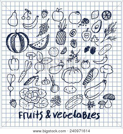 Fruits And Vegetables Collection Of Hand Drawn Elements Written By Ink Pen On Checkered Sheet Of Pap