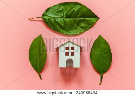 Miniature Toy Model House With Green Leaves On Pink Pastel Colourful Trendy Backgdrop. Eco Village, 