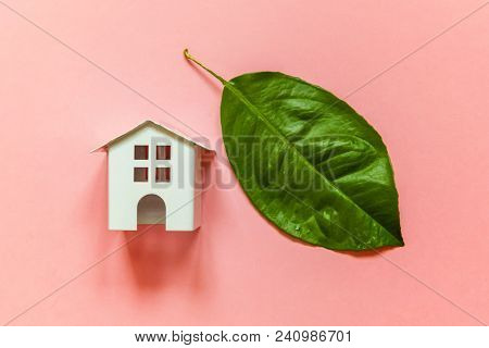 Miniature Toy Model House With Green Leaves On Pink Pastel Colourful Trendy Backgdrop. Eco Village, 