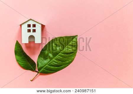 Miniature Toy Model House With Green Leaves On Pink Pastel Colourful Trendy Backgdrop. Eco Village, 