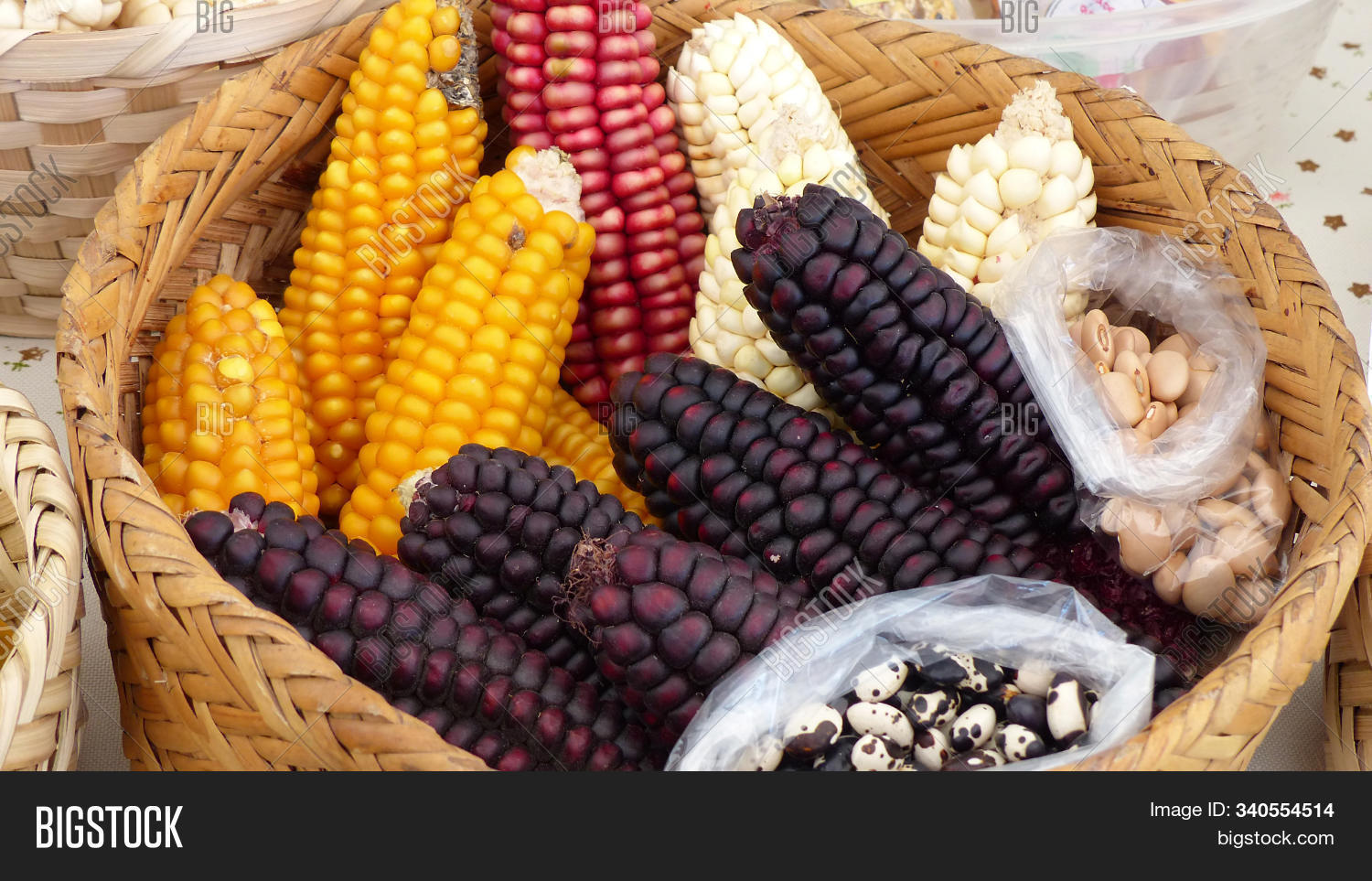 indian corn indian corn