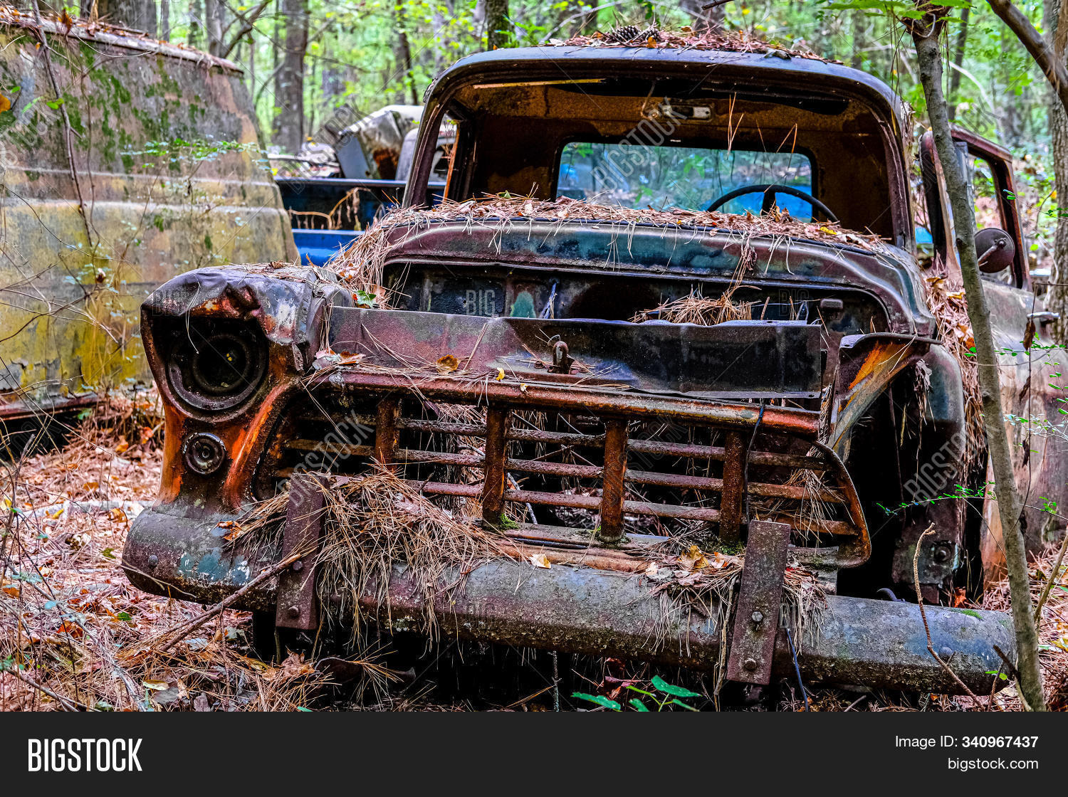 Old Rusted Out Car Image & Photo (Free Trial) | Bigstock