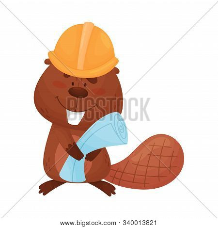 Busy Beaver Holding Construction Plan And Wearing Helmet Vector Illustration