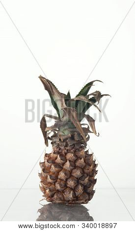 Macro View Of The Mini Pineapple  Rotten Fruit  With Spots.cocept Of Fuit  Waste. Vertical With Spac