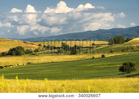 Summer Landscape Along The Road To Camigliatello Silano, Cosenza, Calabria, Italy, In The Sila Natur