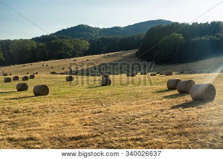Summer Landscape Along The Road To Camigliatello Silano, Cosenza, Calabria, Italy, In The Sila Natur