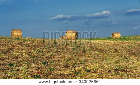 Summer Landscape Along The Road To Camigliatello Silano, Cosenza, Calabria, Italy, In The Sila Natur