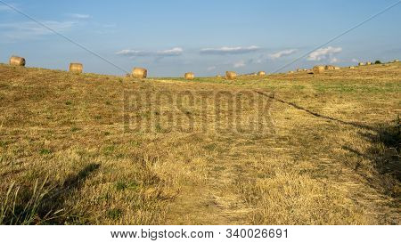 Summer Landscape Along The Road To Camigliatello Silano, Cosenza, Calabria, Italy, In The Sila Natur
