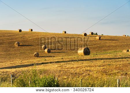 Summer Landscape Along The Road To Camigliatello Silano, Cosenza, Calabria, Italy, In The Sila Natur