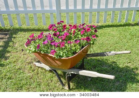 Flowers in a wheel barrow