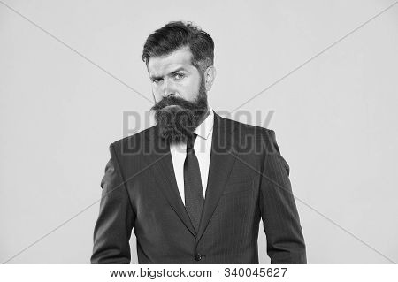 He Is Life Ganger. Serious Intentions. Businessman Formal Suit. Handsome Bearded Man Ceo. Successful