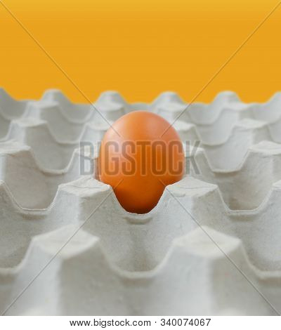 Concept Outstanding Object, Notable Alone Fresh Brown Chicken Egg Left In Paper Tray Pit Pattern Bac