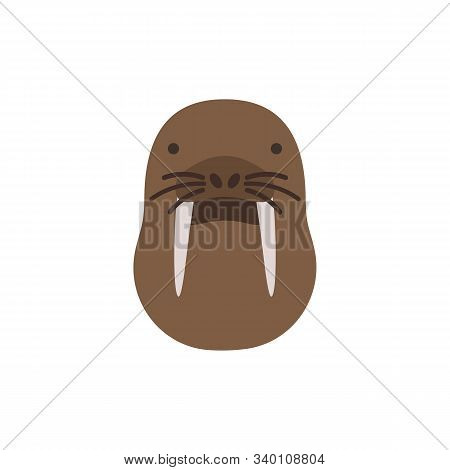 Walrus Color Icon. Elements Of Winter Wonderland Multi Colored Icons. Premium Quality Graphic Design