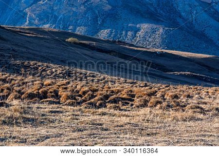 Distant View Of Tussock Field With Hillocks In Autumn