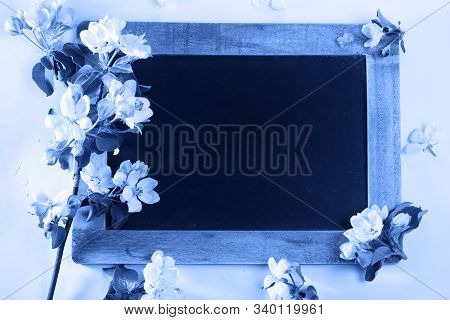 Spring Apple Tree Blooming Flowers, Top View Flat Lay Scene With Copy Space On Blackbord In Classic 