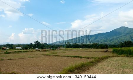Panoramic Beautiful Landscape Shot
