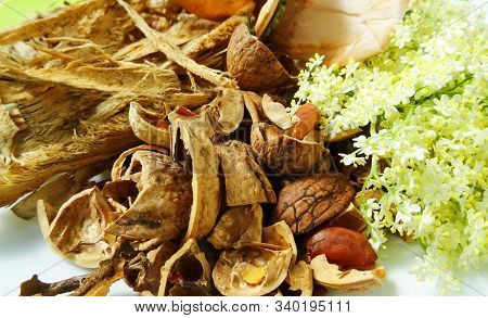 Organic Waste For Composting. Nut Shells, Tea Bags, Elderberry Inflorescence, Sawdust. Permaculture 
