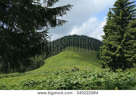 Summer Landscape In Carpathian Mountains And The Cloudy Sky. Beautiful View Of The Fied With Horses