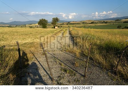 Summer Landscape Along The Road To Camigliatello Silano, Cosenza, Calabria, Italy, In The Sila Natur