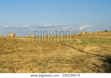 Summer Landscape Along The Road To Camigliatello Silano, Cosenza, Calabria, Italy, In The Sila Natur