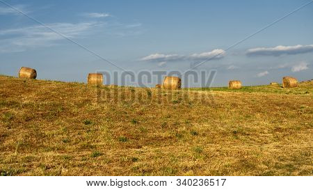 Summer Landscape Along The Road To Camigliatello Silano, Cosenza, Calabria, Italy, In The Sila Natur