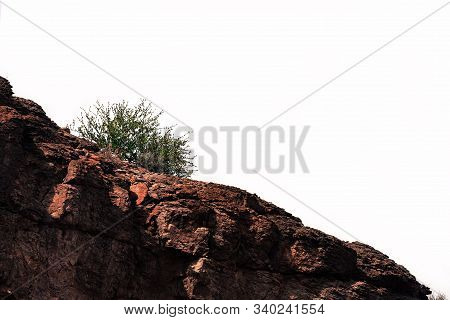 A Large Cliff And A Desert Plant On It
