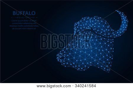 Buffalo Head Low Poly Design, Animal Wireframe Mesh Polygonal Vector Illustration Made From Points A