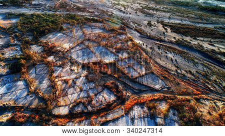 Arial Shot From Farm Land With Date Trees In Iran