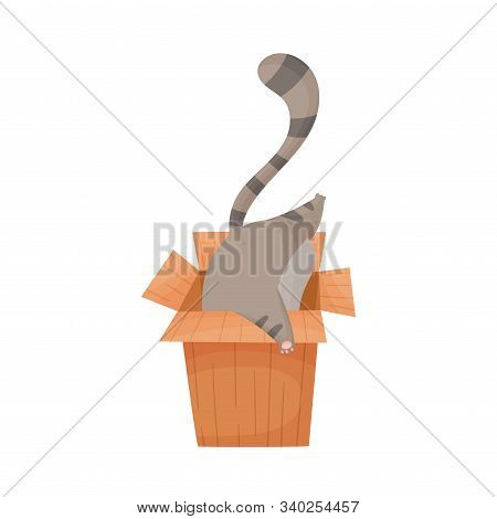Cat Trying To Get Into Cardboard Box Vector Illustration