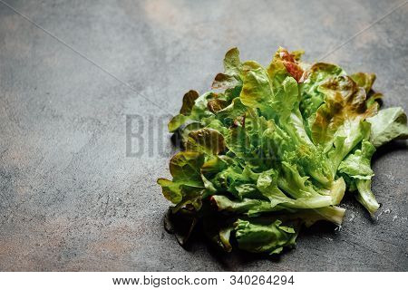 Green Chilli Peppers On A Dark Background With Copy Space