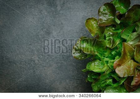 Green Chilli Peppers On A Dark Background With Copy Space