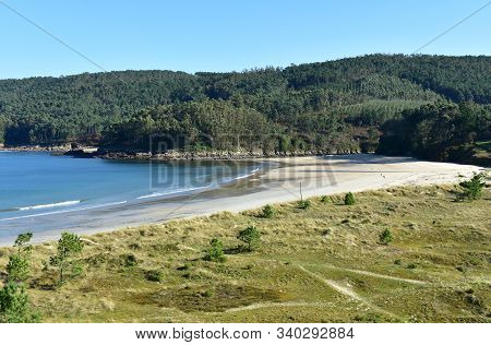 Bay With Beach And Forest. Promenade With Grass In Sand Dunes And Pine Trees. Muxia, Spain.