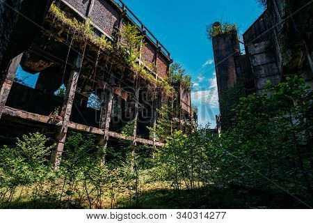 Overgrown Ruins Of Industrial Building. Abandoned, Destroyed By War Power Plant In Tkvarcheli Tquarh